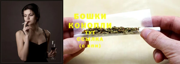 соль ск Богданович