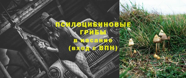 соль курить ск Богородицк
