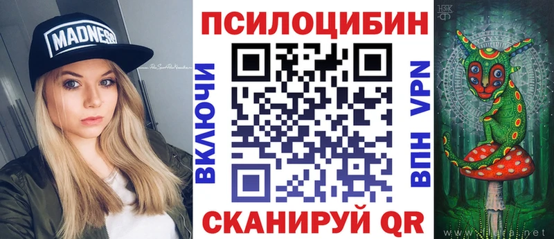 ссылка на мегу как войти  Дубна  Псилоцибиновые грибы мицелий 